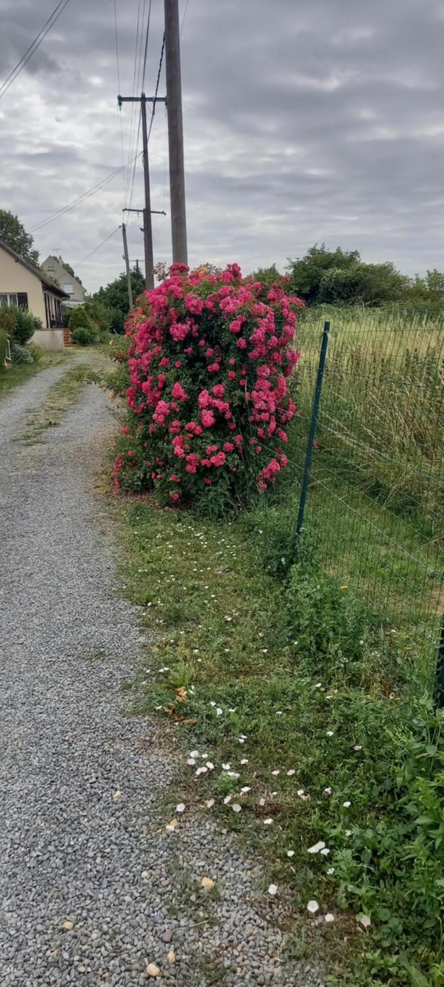 May-sur-Orne L'Abri 아파트 외부 사진